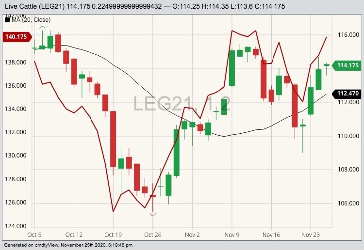 CME February 2021 live cattle (candlesticks) with 20-day moving average (black line) and CME January 2021 feeder cattle (red line). (Barchart)
