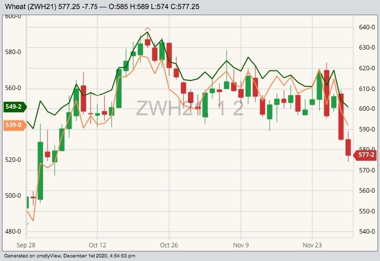 CBOT March 2021 wheat (candlesticks) with MGEX (green line) and K.C. (orange line) March 2021 wheat. (Barchart)
