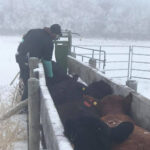 Infrastructure needs to be operational, keeping animals and people safe, no matter the task.