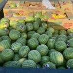 A load of fruit picked up as part of the Loop program.