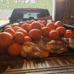 A load of food picked up by a Loop participant.