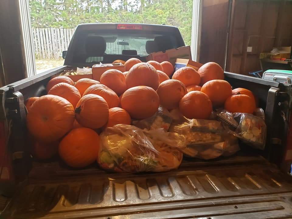 A load of food picked up by a Loop participant.