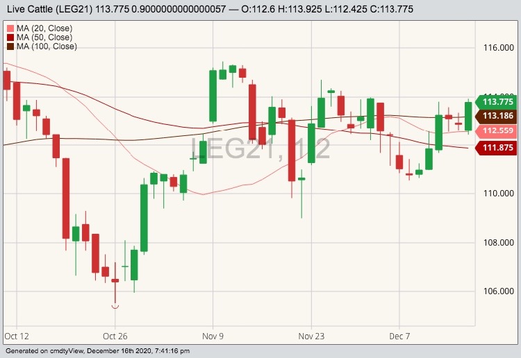 CME February 2021 live cattle with 20-, 50- and 100-day moving averages. (Barchart)

