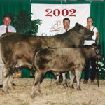 Brad Robart and daughter Susan at the 2002 Ohio State Fair with his prize Murray Grey cow-calf pair.