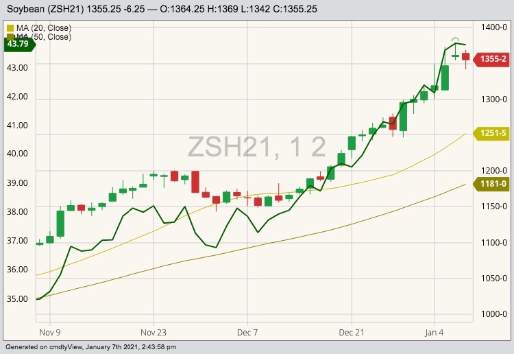 CBOT March 2021 soybeans with 20- and 50-day moving averages and March 2021 soybean oil (dark green line). (Barchart)
