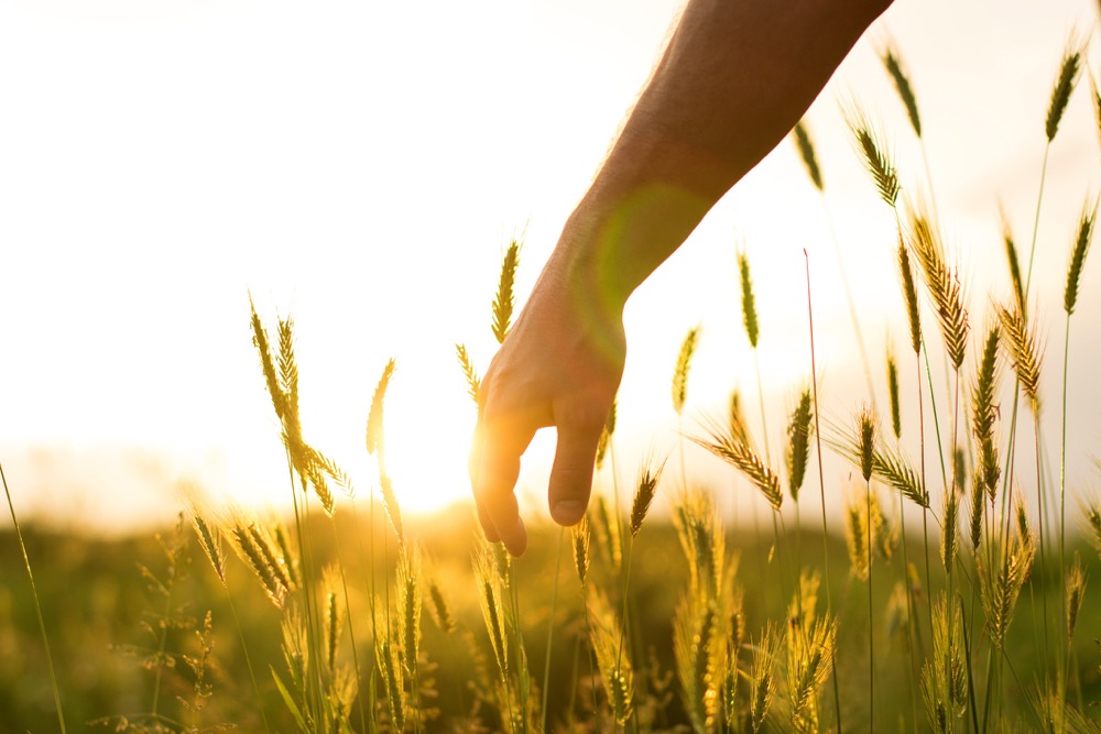 “The more you know, the more you know you don’t know.” – Aristotle.