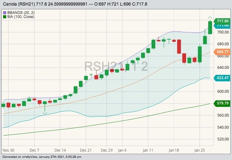 ICE March 2021 canola (candlesticks) with Bollinger bands (20,2) and 100-day moving average (green line). (Barchart)
