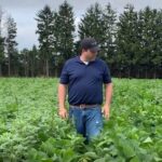 At the company’s Chatham, Ont. research farm, Bayer agronomic systems manager Adam Pfeffer shows a plot of XtendFlex herbicide-tolerant soybeans, comparing an untreated check strip infested with redroot pigweed against a herbicide-treated strip. (Bayer Crop Science video screengrab via YouTube)