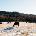 How can producers improve their own farms and ranches so they can thrive in these challenging times?
