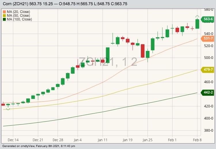 CBOT March 2021 corn with 20-, 50- and 100-day moving averages. (Barchart)
