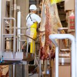 U.S. packers saw record operating margins throughout last year, but cattle feeders and producers saw slim or even negative returns.