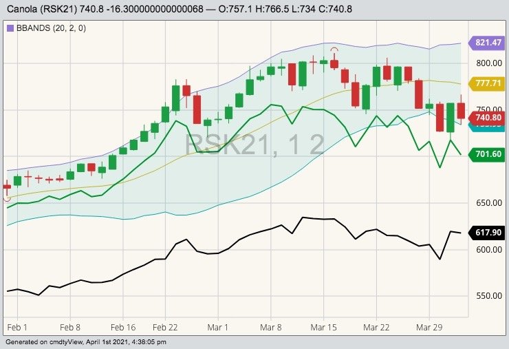 ICE May 2021 canola (candlesticks) with Bollinger (20,2) bands, July 2021 canola (green line) and November 2021 canola (black line). (Barchart)
