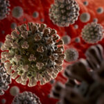 Few things in life today remain unscathed by the COVID-19 pandemic.