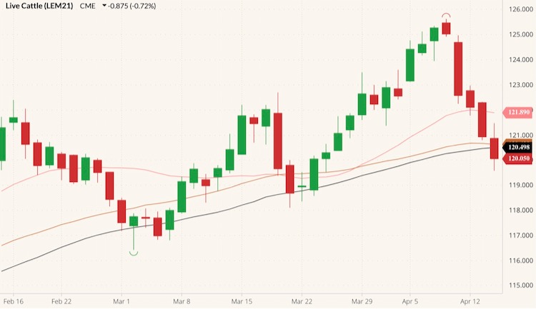 CME June 2021 live cattle (candlesticks) with 20-, 40- and 50-day moving averages (pink, brown, black lines). (Barchart)
