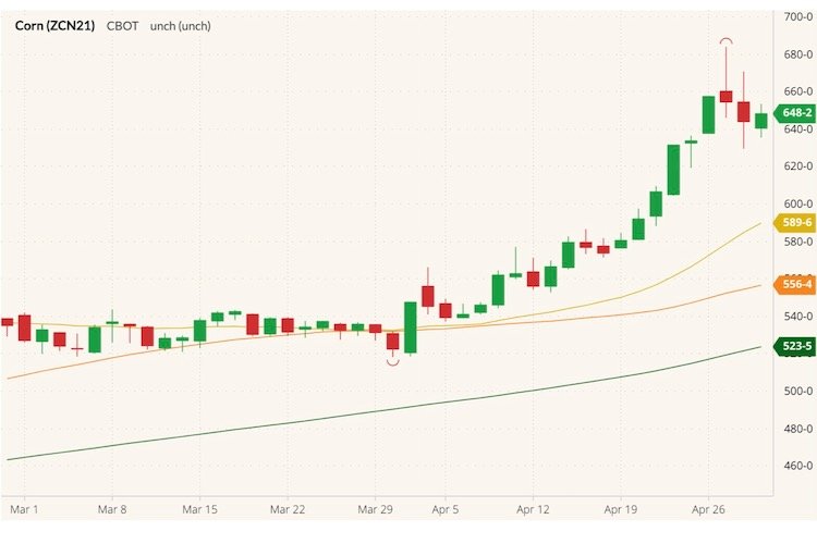 CBOT July 2021 corn (candlesticks) with 20-, 50- and 100-day moving averages (yellow, orange, green lines). (Barchart)
