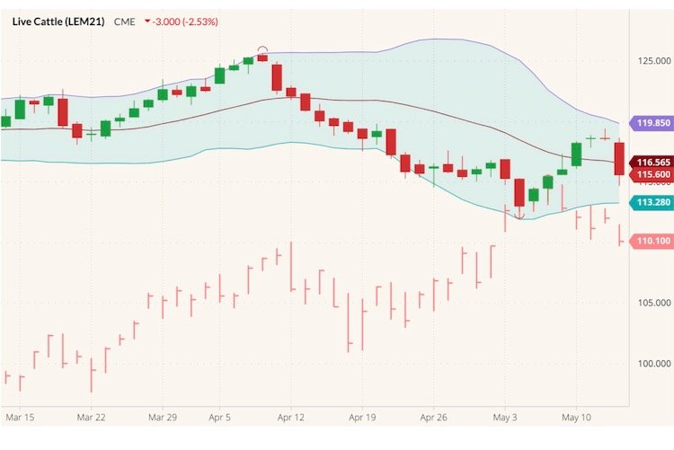 CME June 2021 live cattle (candlesticks) with Bollinger (20,2) bands and June 2021 lean hogs (pink high/low/close). (Barchart)
