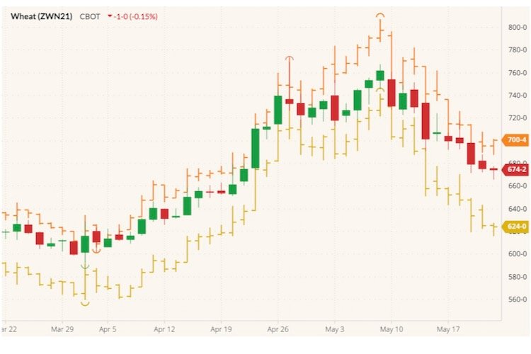 CBOT July 2021 wheat (candlesticks) with MGEX July 2021 wheat (orange open/high/low/close) and K.C. July 2021 wheat (yellow OHLC). (Barchart)
