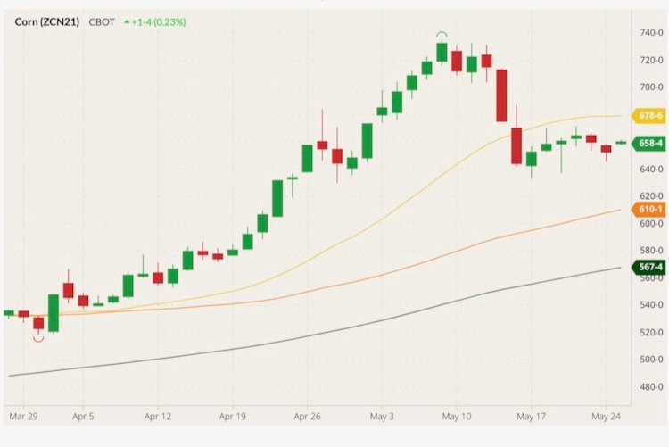 CBOT July 2021 corn (candlesticks) with 20-, 50- and 100-day moving averages (yellow, orange and green lines). (Barchart)
