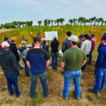 Lethbridge College is launching its bachelor of agriculture science program.