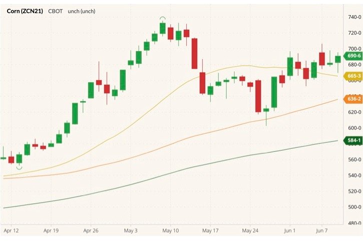 CBOT July 2021 corn (candlesticks) with 20-, 50- and 100-day moving averages (yellow, orange and green lines). (Barchart)
