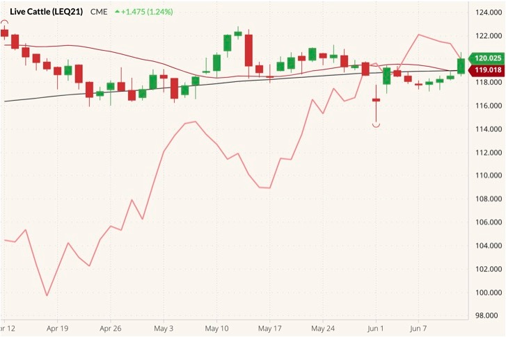 CME August 2021 live cattle (candlesticks) with 20- and 100-day moving averages (dark red and black lines) and CME July 2021 lean hogs (pink line). (Barchart)
