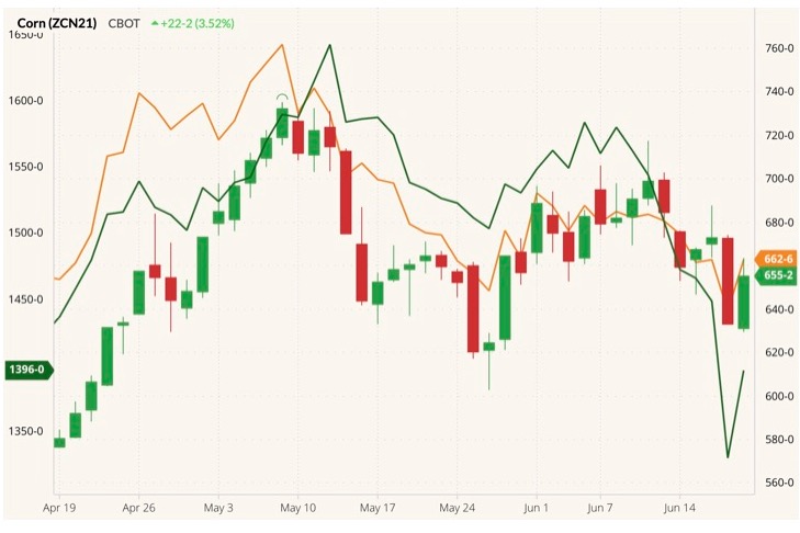 CBOT July 2021 corn (candlesticks) with CBOT July 2021 wheat (orange line) and July 2021 soybeans (dark green line, left column). (Barchart)
