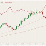 CME August 2021 lean hogs (candlesticks) with 20- and 50-day moving averages (pink and brown lines) and August 2021 live cattle (red line). (Barchart)
