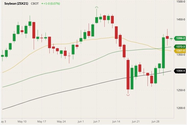 CBOT November 2021 soybeans (candlesticks) with 20-, 50- and 100-day moving averages (yellow, green and black lines). (Barchart)
