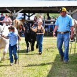 Perdue Cattle Show designated Beef Supreme qualifier for Agribition