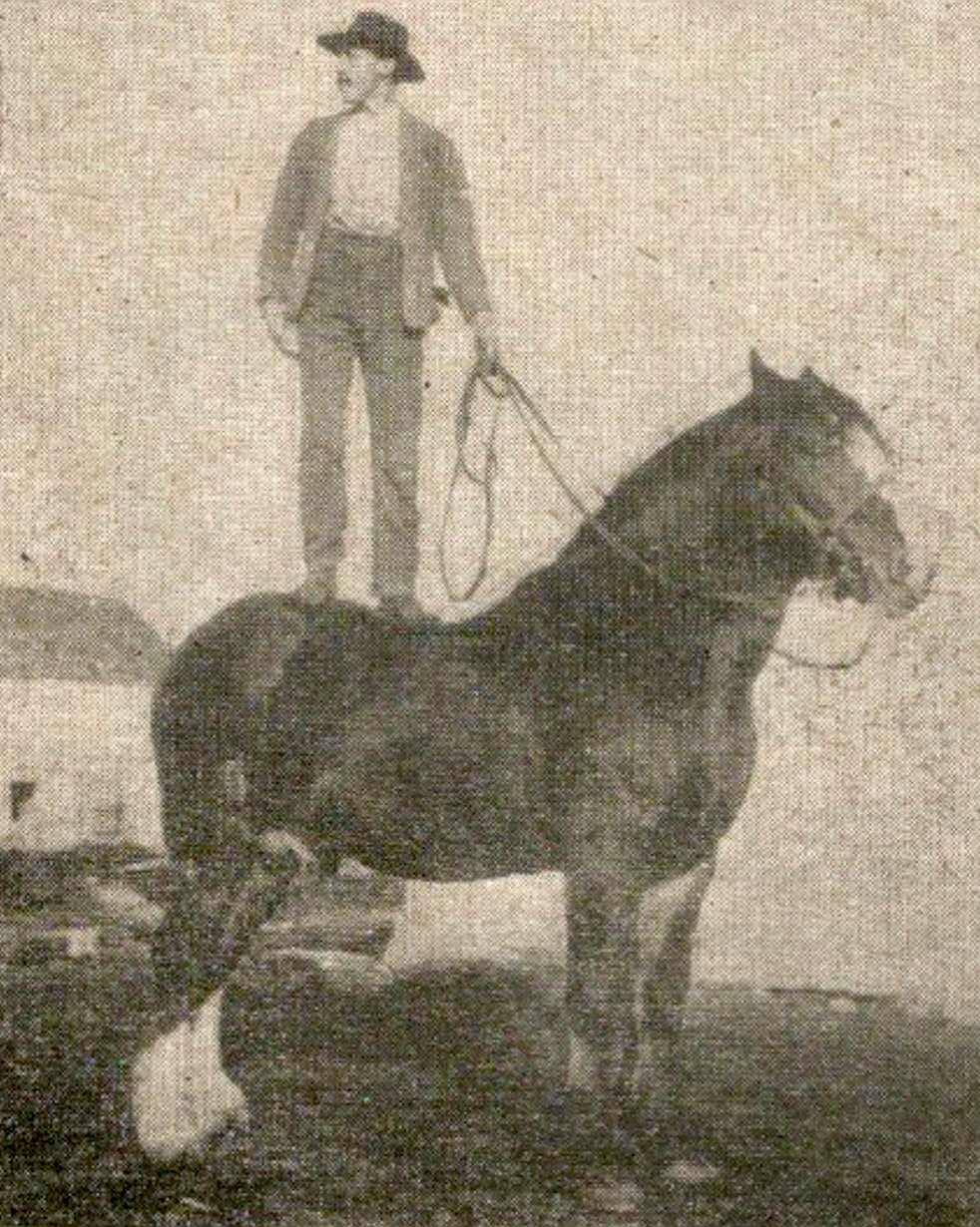 Thomas G. Stewart. who spent 27 years as a fieldman in the employ of the Federal Live Stock Branch, came to Canada after serving in the South African war. One of his first jobs in Canada was as horseman for the Douglas Lake Cattle Company.