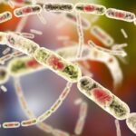 A 3-D illustration of Bacillus anthracis bacteria. (Dr_Microbe/iStock/Getty Images)