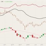 CME October lean hogs (candlesticks) with 20-day moving average (pink line), CME lean hog index (black line), CME August 2021 lean hogs (brown O/H/L/C) and CME October 2021 live cattle (dark red line). (Barchart)