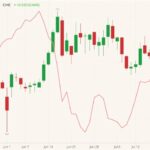 CME October 2021 live cattle (candlesticks) with October 2021 lean hogs (pink line, left column). (Barchart)