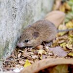 Photo: BirdShutterB/iStock/Getty Images