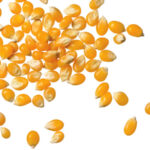 Photo: Thinkstock