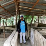 Nelson Aquino observes his pig farm after pigs died of African swine fever, as the government announced the slaughter of tens of thousands of pig after detecting outbreaks of African swine fever in pigs farms across the country, in Palmarito, Monte Cristi, Dominican Republic August 1, 2021. Photo: Reuters/Ricardo Rojas
