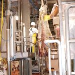 Updating the handling requirements for specified risk material in processing facilities is a priority with Canada’s negligible risk designation.