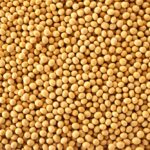 Much attention will be paid to soy estimates after the USDA’s projection went unchanged from June to July. Photo: Thinkstock