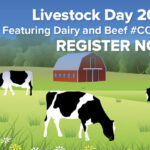 Emerging opportunities in dairy, livestock slated for Canada’s Outdoor Farm Show digital event