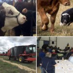 Feed strategies discussed at upcoming Ag in Motion digital event