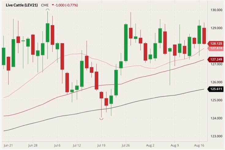 CME October 2021 live cattle (candlesticks) with 20-, 50- and 100-day moving averages (pink, dark red and black lines). (Barchart)

