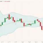 CBOT November 2021 soybeans (candlesticks) with Bollinger bands (20,2). (Barchart)