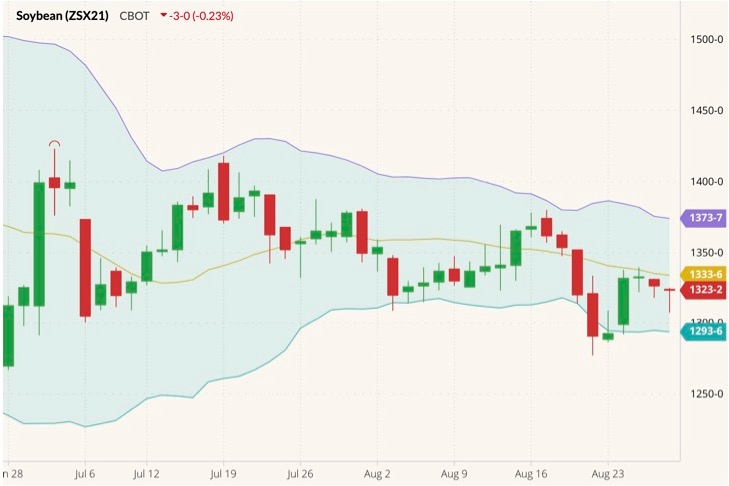 CBOT November 2021 soybeans (candlesticks) with Bollinger bands (20,2). (Barchart)
