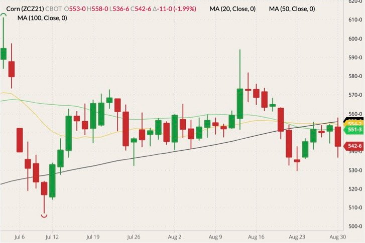 CBOT December 2021 corn (candlesticks) with 20-, 50- and 100-day moving averages (yellow, green and black lines). (Barchart)
