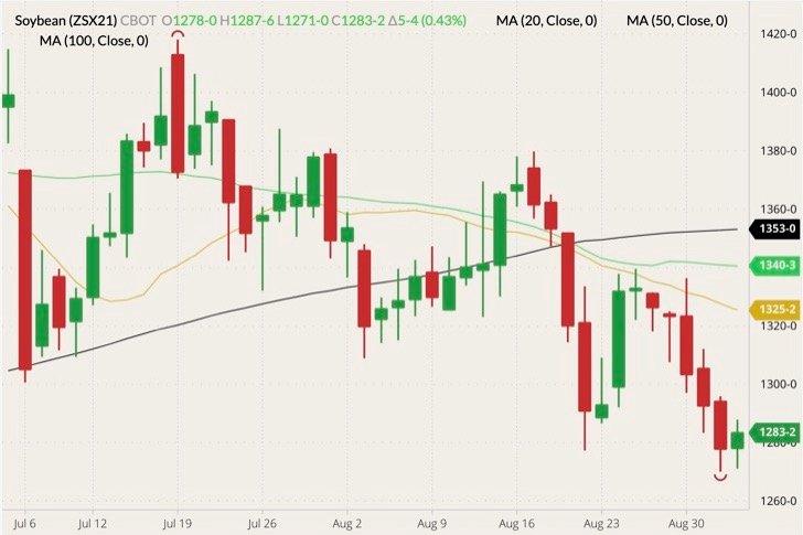 CBOT November 2021 soybeans (candlesticks) with 20-, 50- and 100-day moving averages (yellow, green and black lines). (Barchart)
