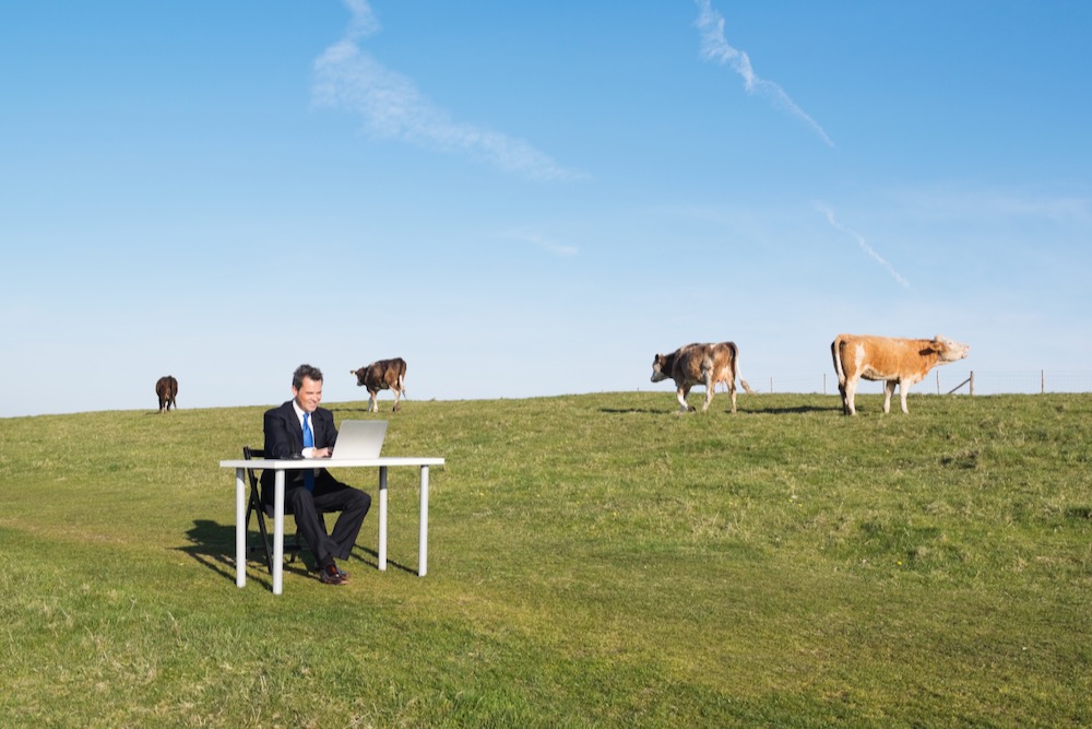 pasture