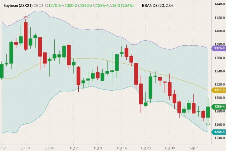 CBOT November 2021 soybeans (candlesticks) with Bollinger bands (20,2). (Barchart)
