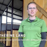 VIDEO: Testing the quality of livestock water