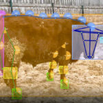 Bovine Expert Tracking and Surveillance, or BETSY, can identify cattle from almost any angle and at considerable distance, the company says, and there are plans to enable the system to read RFID tags.