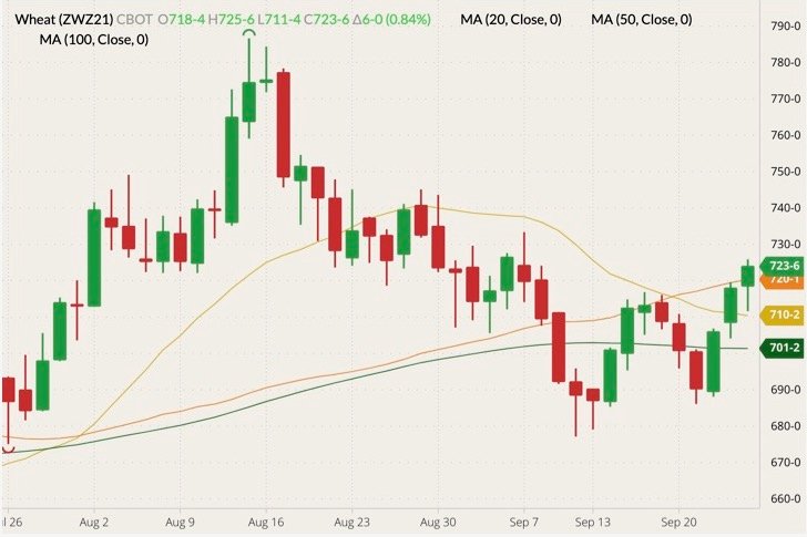CBOT December 2021 wheat (candlesticks) with 20-, 50- and 100-day moving averages (yellow, orange and dark green lines). (Barchart)

